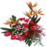 Exotic Arrangement